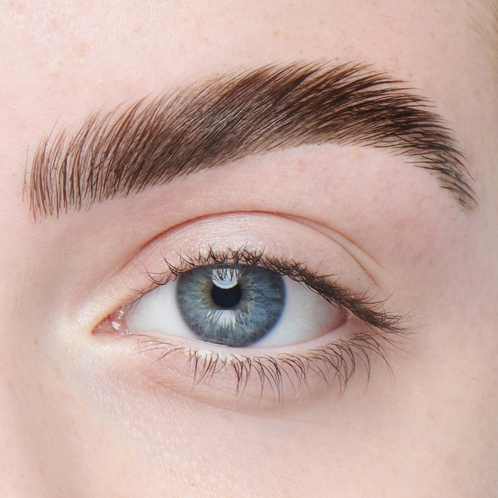 A close-up of a woman's eyebrow after brow lamination treatment