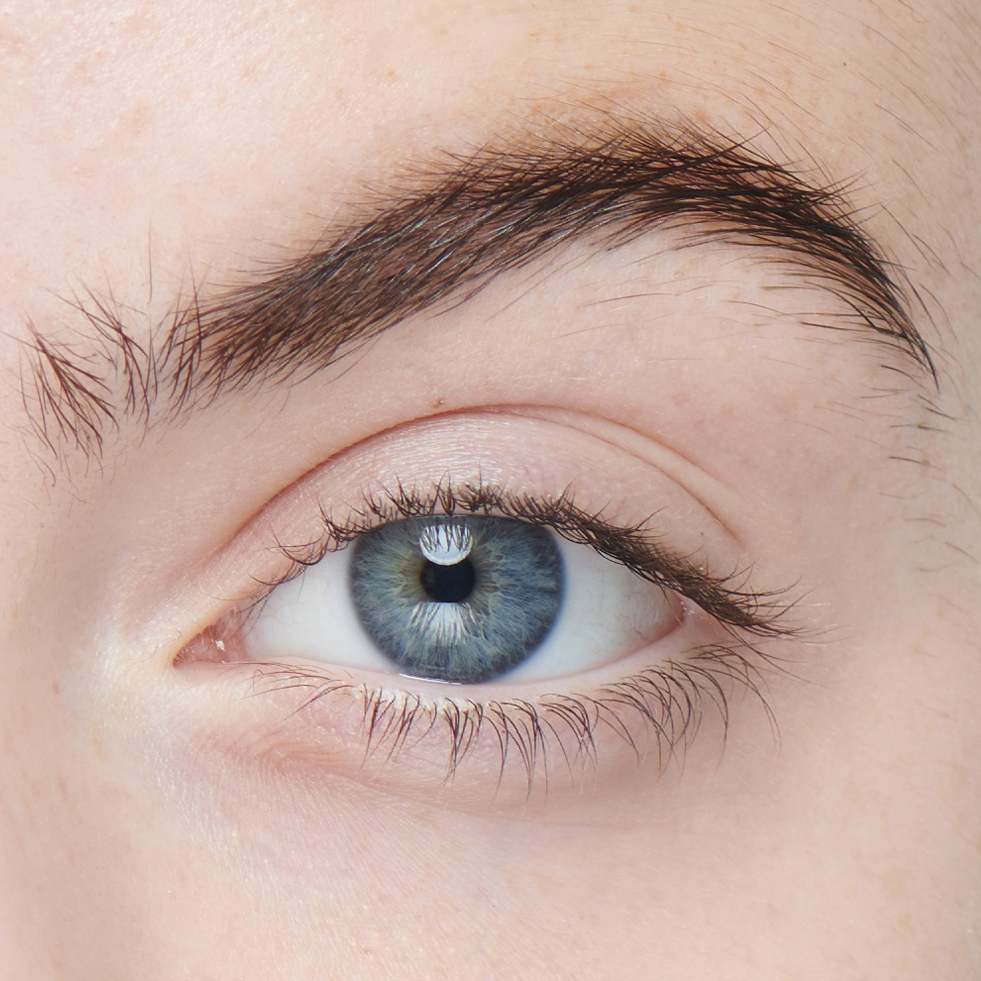 A close-up of a woman's eyebrow before brow lamination treatment