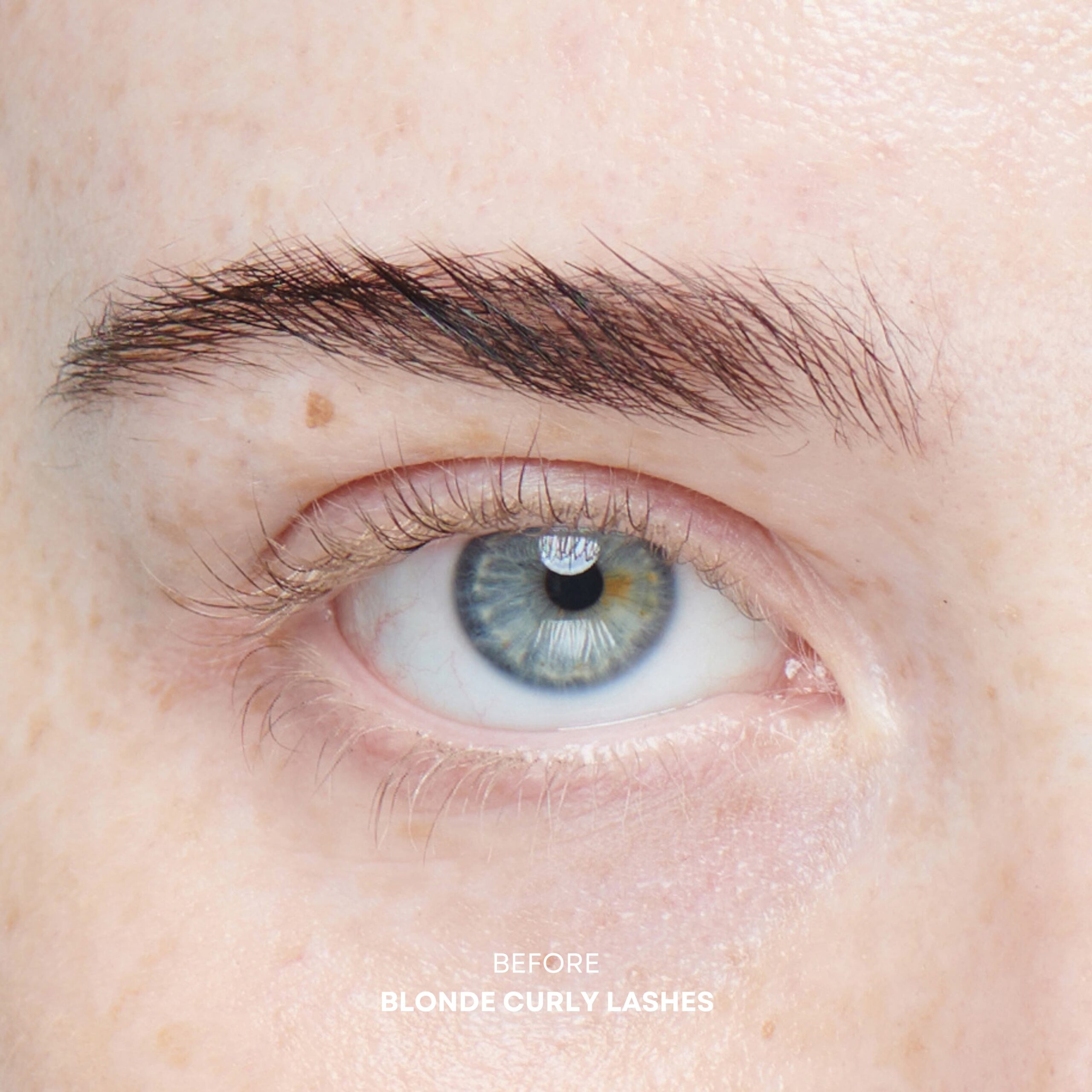 Close-up of Healthy Lash Lift results